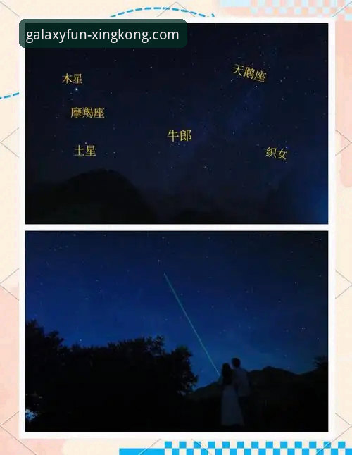 星空娱乐平台手机版 手机版vs电脑版:星空娱乐平台全面对比,哪个更适合你?